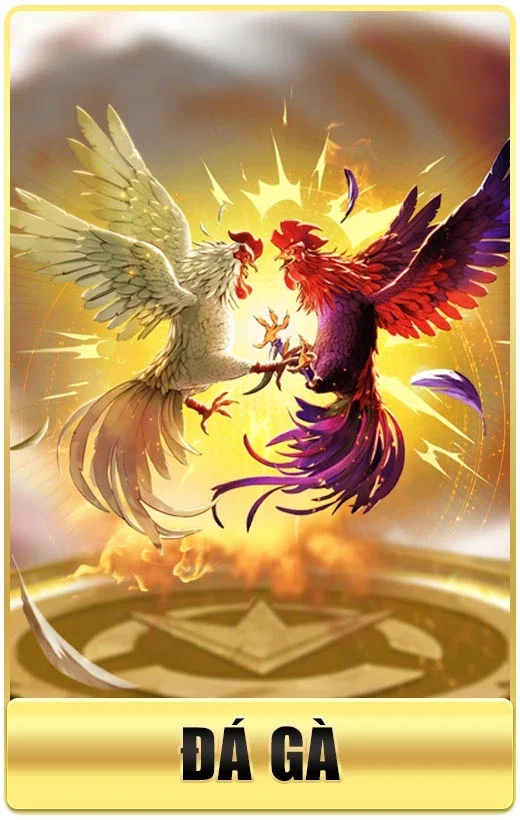 Win55 ⭐️ Link Vào Win55.Com Mới Nhất 2026 | Nhận +155k 33